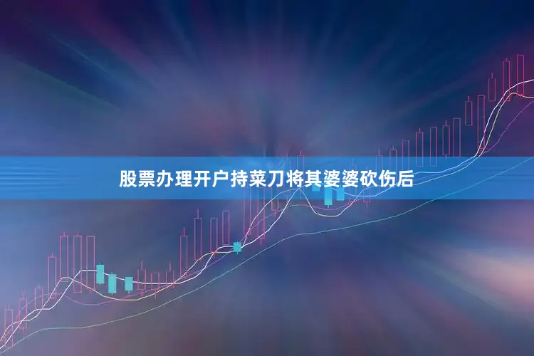 股票办理开户持菜刀将其婆婆砍伤后