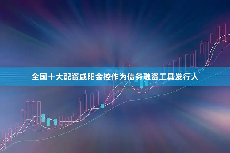 全国十大配资咸阳金控作为债务融资工具发行人
